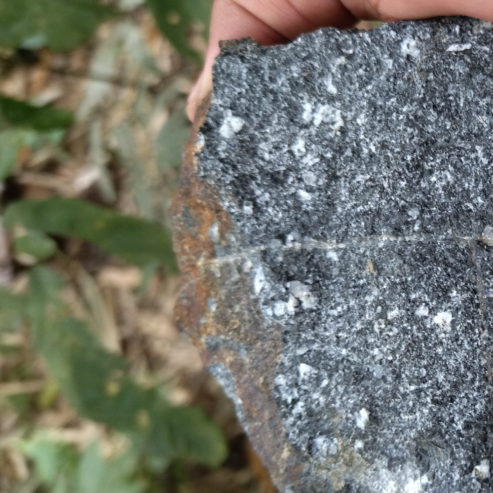 Diorite (Tarlay area)_MM_Rock_27_2024.jpg