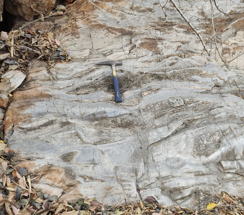 Silt parting limestone (Massive)_MM_Rock_33_2024.jpg