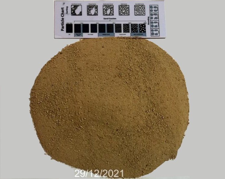 Sand soil_MM_Soil_11_2024.jpg