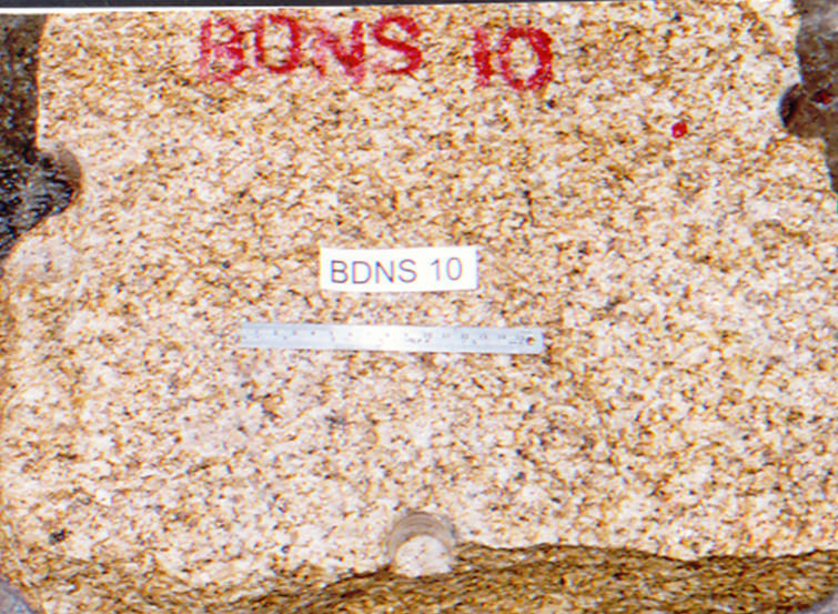 SAMPLE BLOCK BDNS10.png