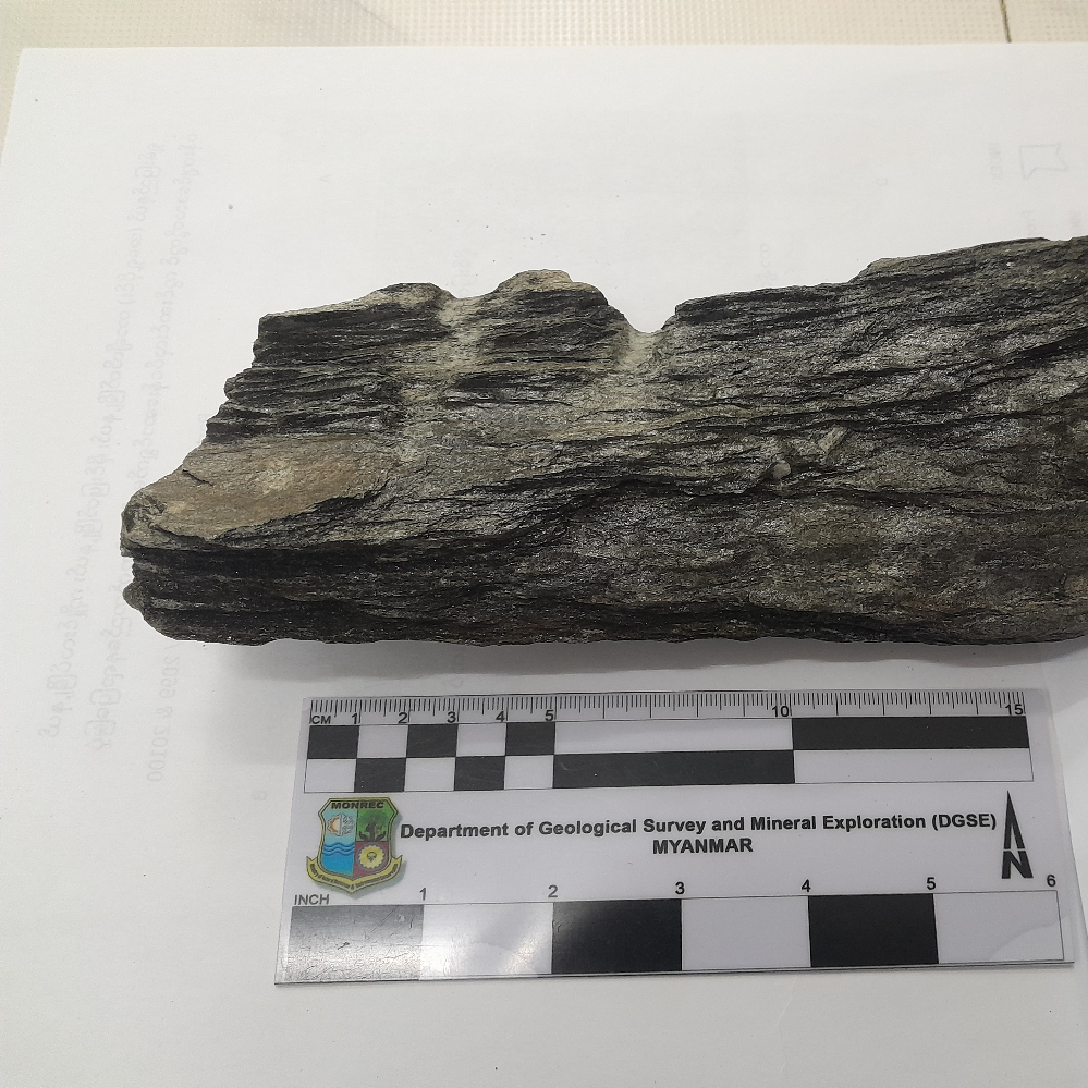 MM_Schist_01_2025.jpg