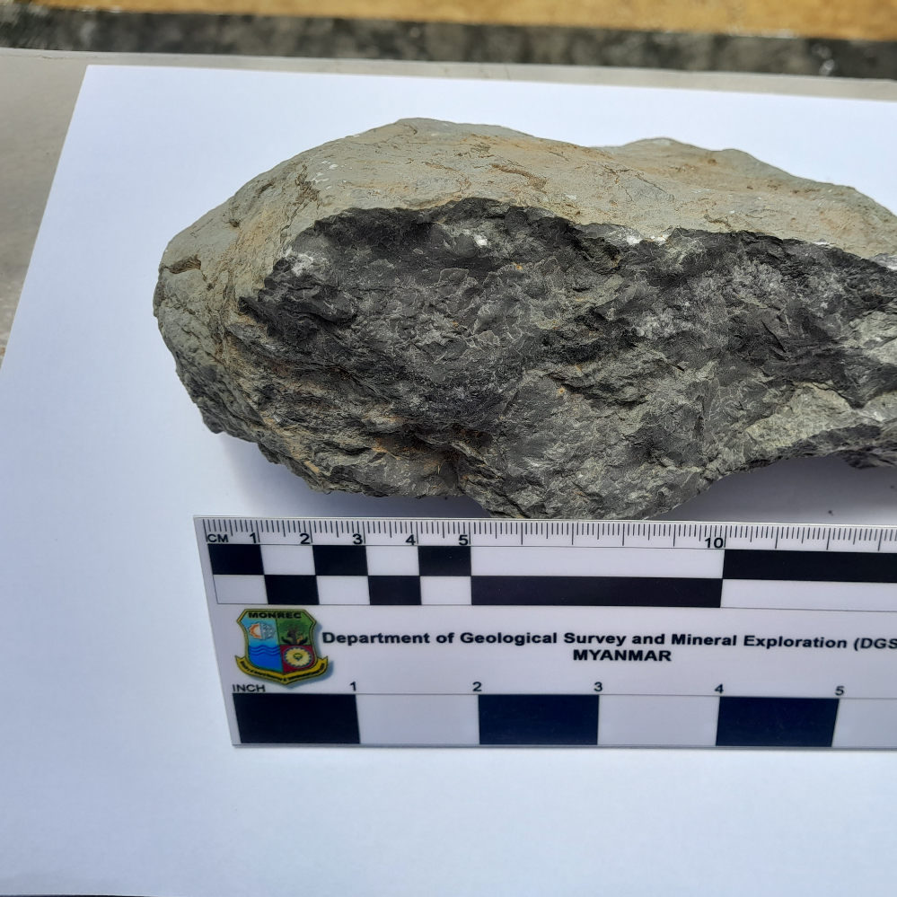 Limestone (TGR-16)_MM_Rock_18_2024.jpg