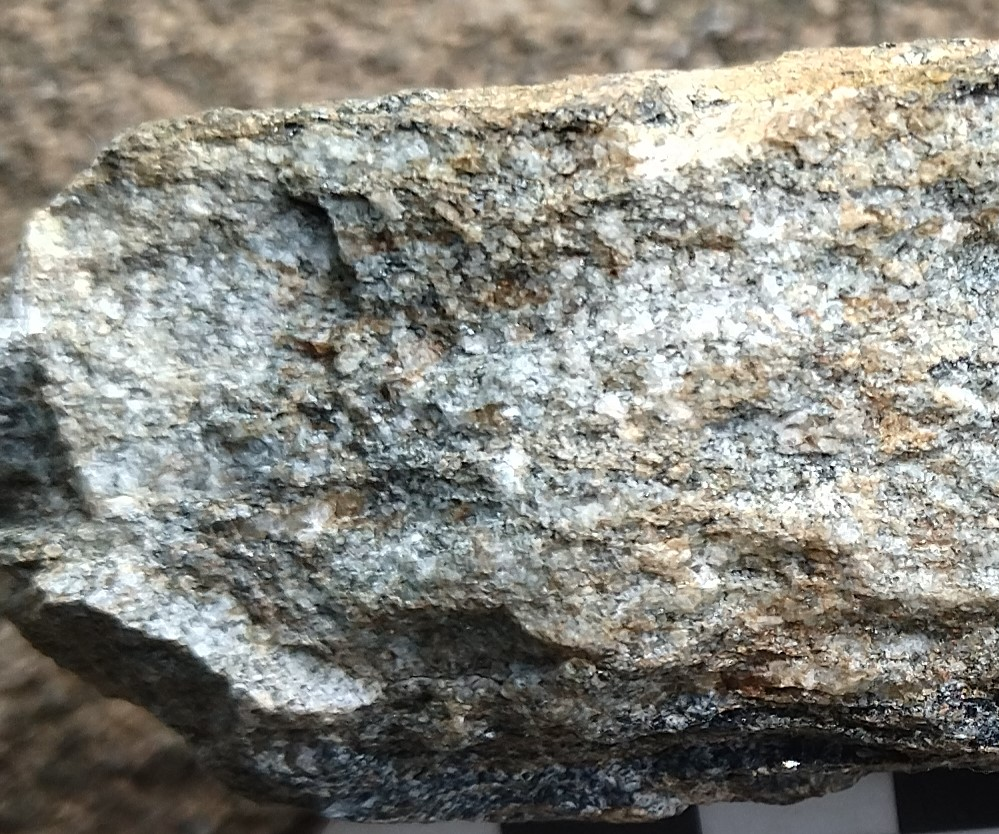 Gneiss Granite_MM_Rock_32_2024.jpg