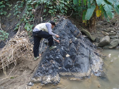 Coal Seam in Chindwin basin area.jpg